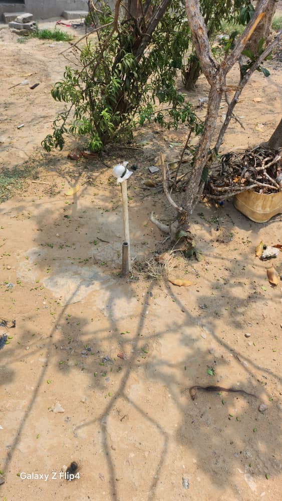 scaled_IMG-20251103-WA0067